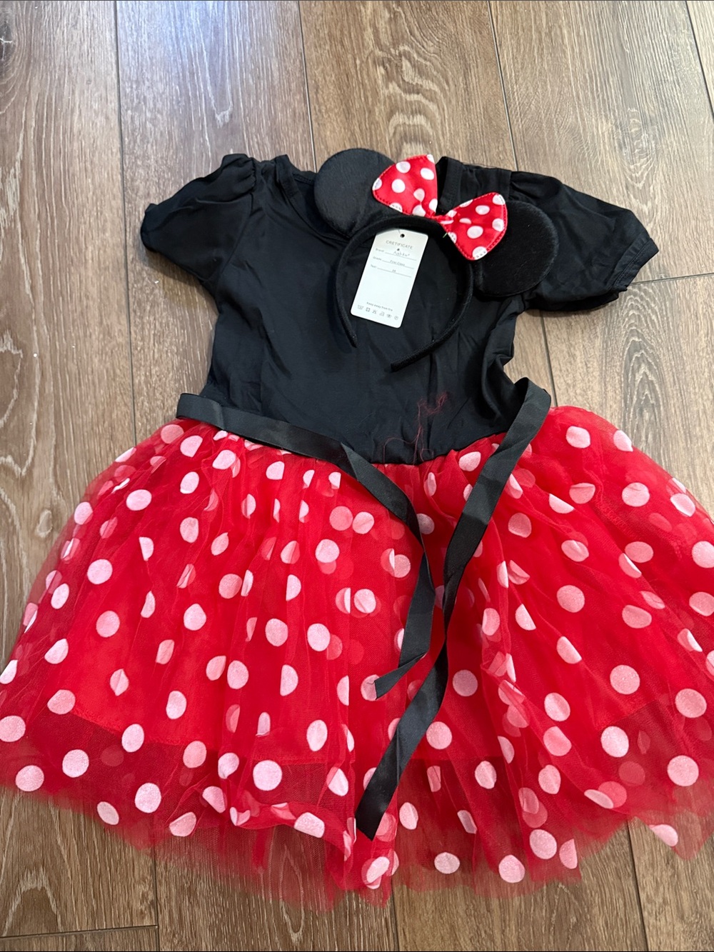 Girls Red Polka Dot Minnie-Inspired Tutu Costume with Headband